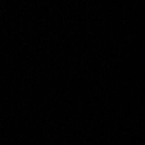 Meet your Posher, Owen